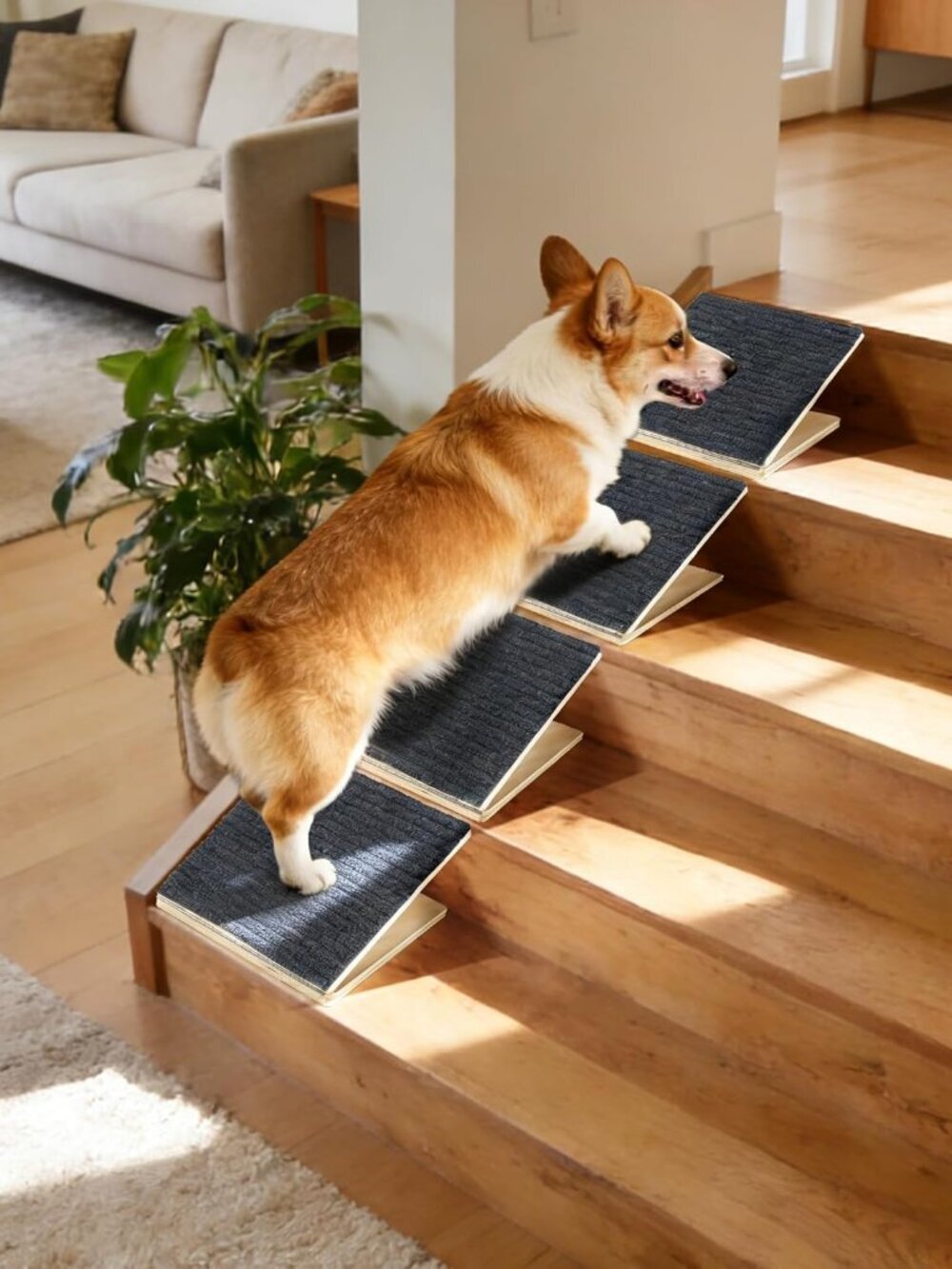 Pet Stair Ramp for Small Dogs, 4 Pack Foldable Wooden Dog Steps for Stairs